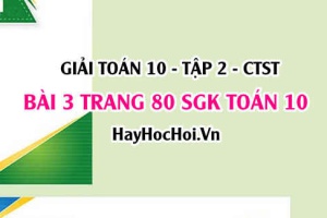 Giải bài 3 trang 80 Toán 10 tập 2 SGK Chân trời sáng tạo